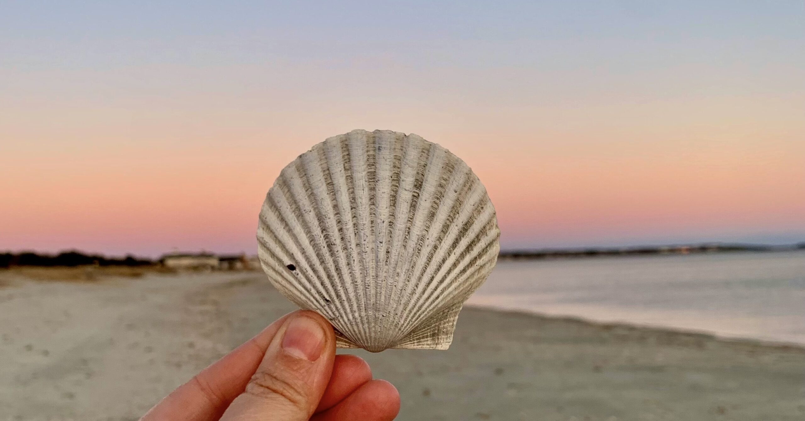 夕焼け空を背景に、砂浜で手に持った貝殻を写した写真。淡いピンクから青へのグラデーションが広がる海辺の景色