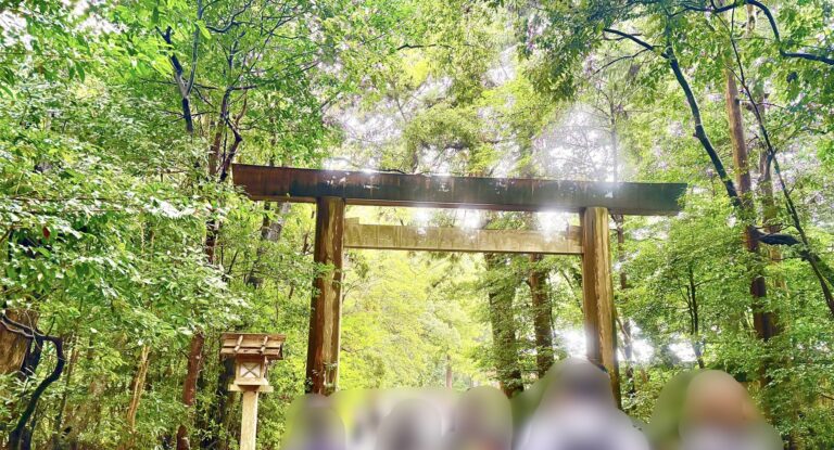 雨上がりの木々の間から光が差し込む伊勢神宮の鳥居。緑に包まれた神聖な参道が静かに輝いている様子。