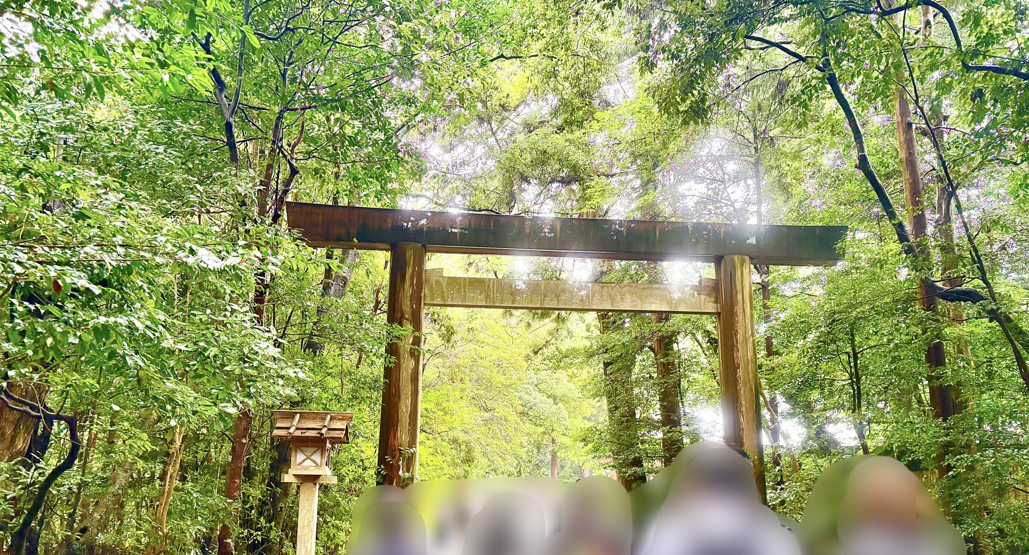 雨上がりの木々の間から光が差し込む伊勢神宮の鳥居。緑に包まれた神聖な参道が静かに輝いている様子。