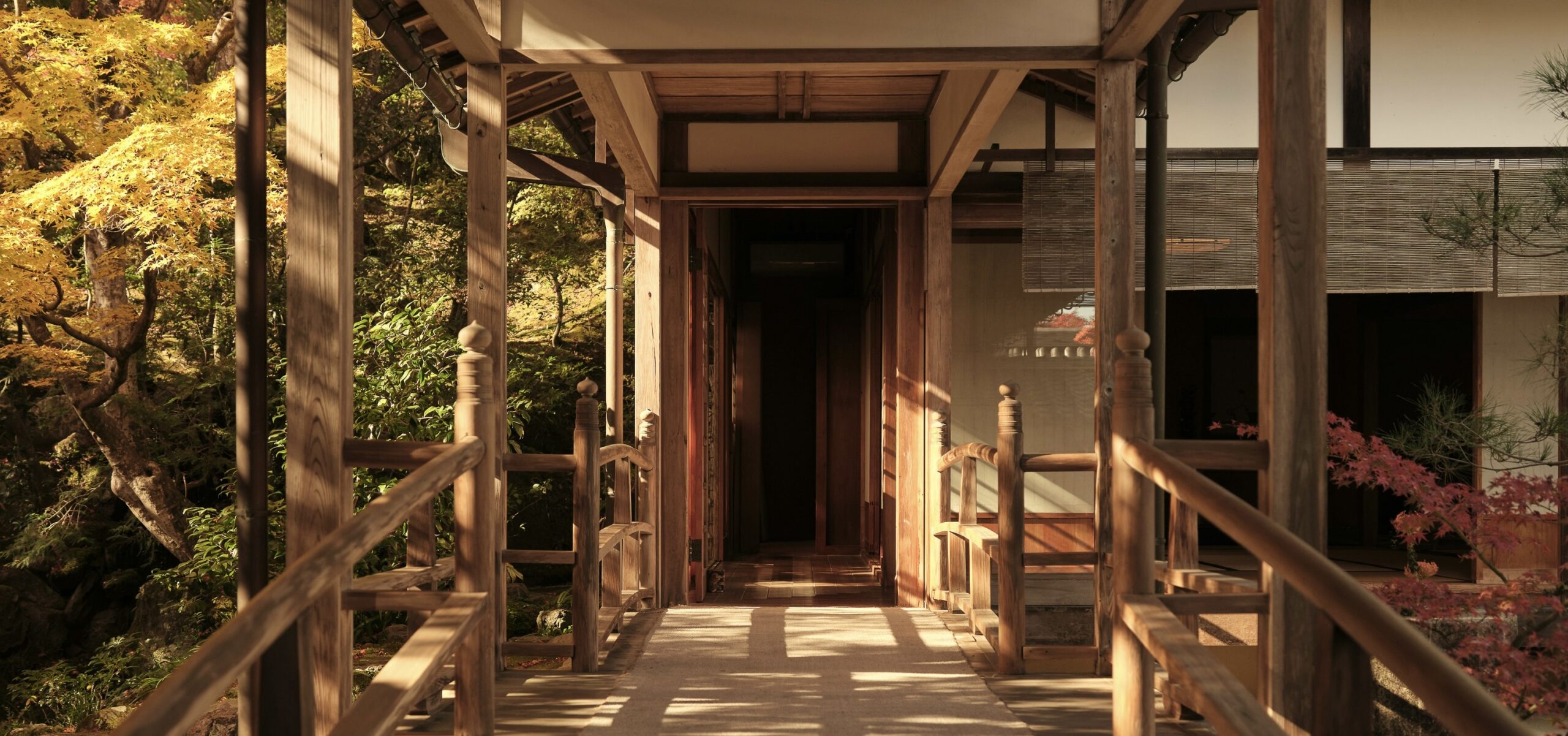 木造の回廊が続く日本旅館の一角。秋の陽射しが差し込み、周囲の紅葉や木々が柔らかく照らされている。落ち着いた和の風情を感じる静かな風景。