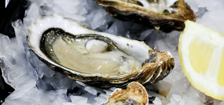 氷の上に盛り付けられた新鮮な生牡蠣。手前の牡蠣の身がぷっくりと輝き、横にはカットレモンが添えられている。瑞々しく冷えた海の幸のアップ写真