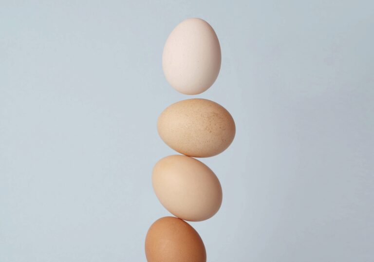 淡いブルーの背景に、4つの卵が縦にバランスよく積み重なっている。上から順に色味が異なり、白から茶色までのグラデーションが美しい。