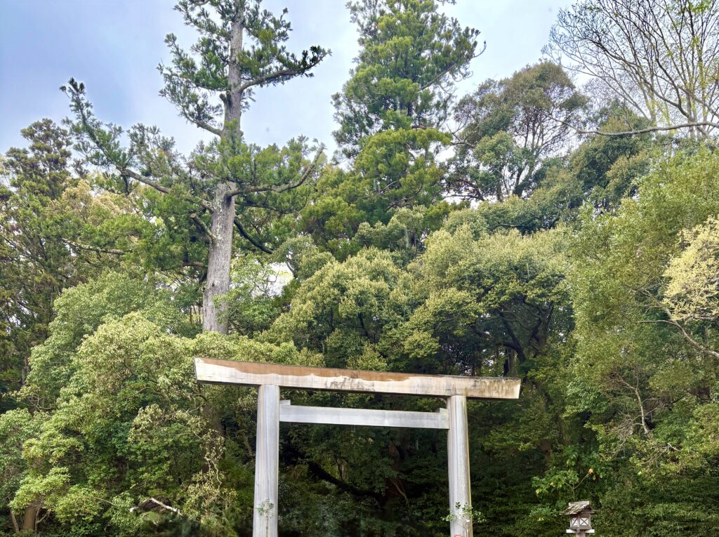 伊勢神宮・内宮の立派な鳥居と、雨に濡れて深緑が美しくそびえ立つ境内の木々