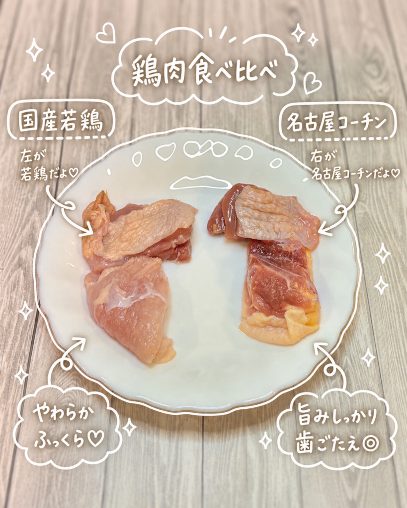 粉塩麹を使う前の名古屋コーチンと国産若鶏を白い皿に並べた下準備写真。鶏肉の部位や肉質の違いを比べながら、塩麹焼き食べ比べ用に準備している様子。