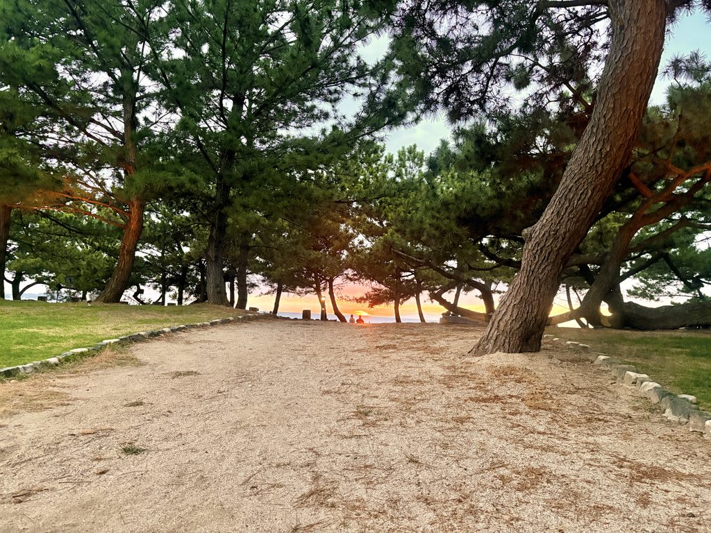 淡路島「あわじ浜離宮 別荘 鐸海」周辺の慶野松原。松林の向こうに夕日と海が広がる、淡路島旅行で楽しんだ美しい夕景